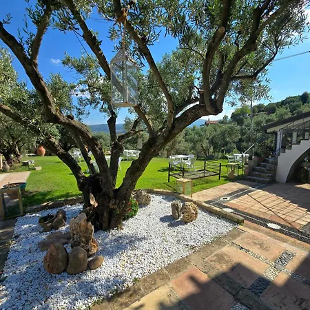 Santo Re Olive Retreat Bed & Breakfast Petrizzi