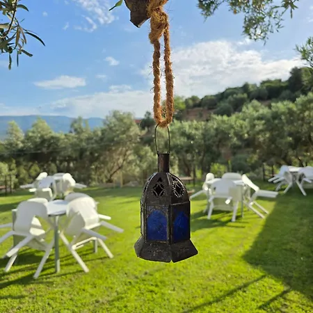 Santo Re Olive Retreat Petrizzi